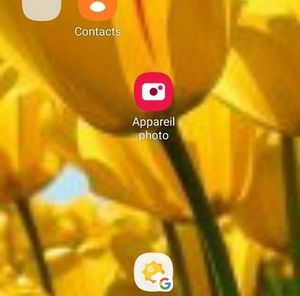 Meet your Posher, Sylvie